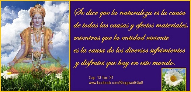 Capitulo 13 Texto 21 Bhagavad Gita