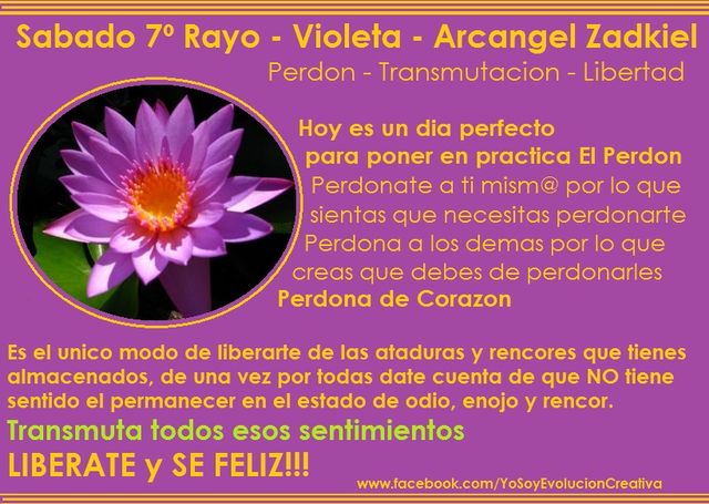 7º Rayao - Violeta - Date cuenta que no vale la pena tener malos sentimientos almacenados, liberate, Perdona y Amate