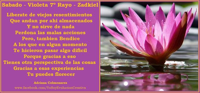 7º Rayo - Violeta - deja ir los odios, rencores y amargos recuerdos, Liberate y se feliz, es tu derecho ;)